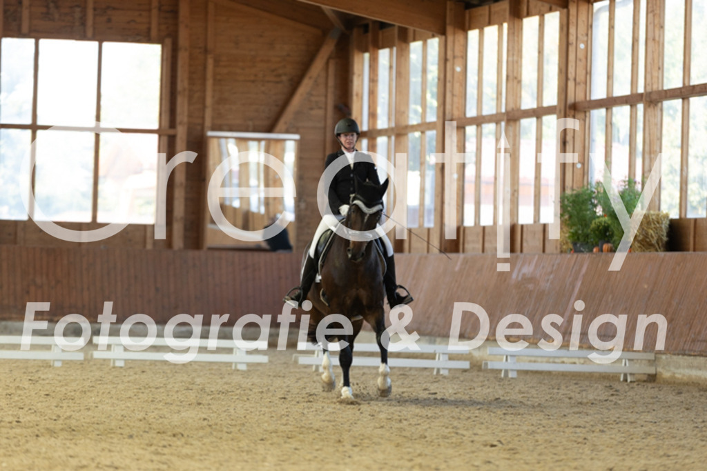 IMG_9356 | Creatify Fotografie