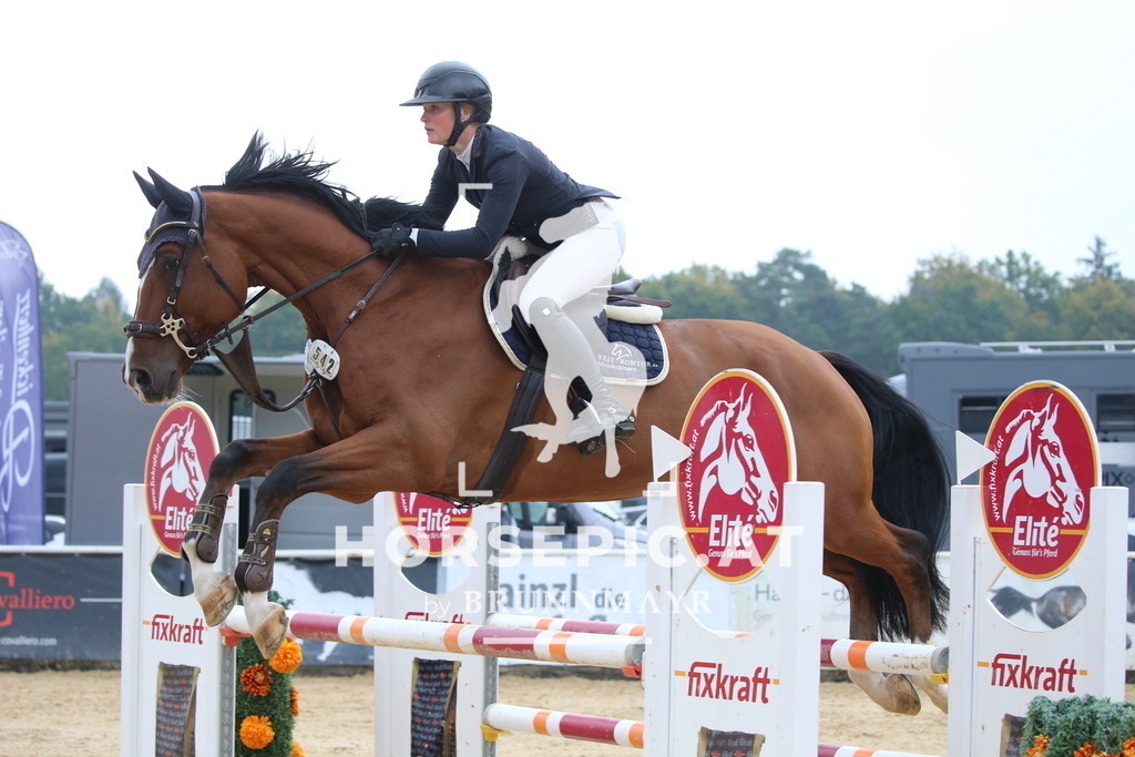 DL2Q0799 | Willkommen bei Brunnmayr - Design & Fotografie – Ihrem Spezialisten für Reitturniere und Pferdeveranstaltungen in Oberösterreich, Salzburg und Bayern! Seit über 17 Jahren sind wir leidenschaftlich dabei.