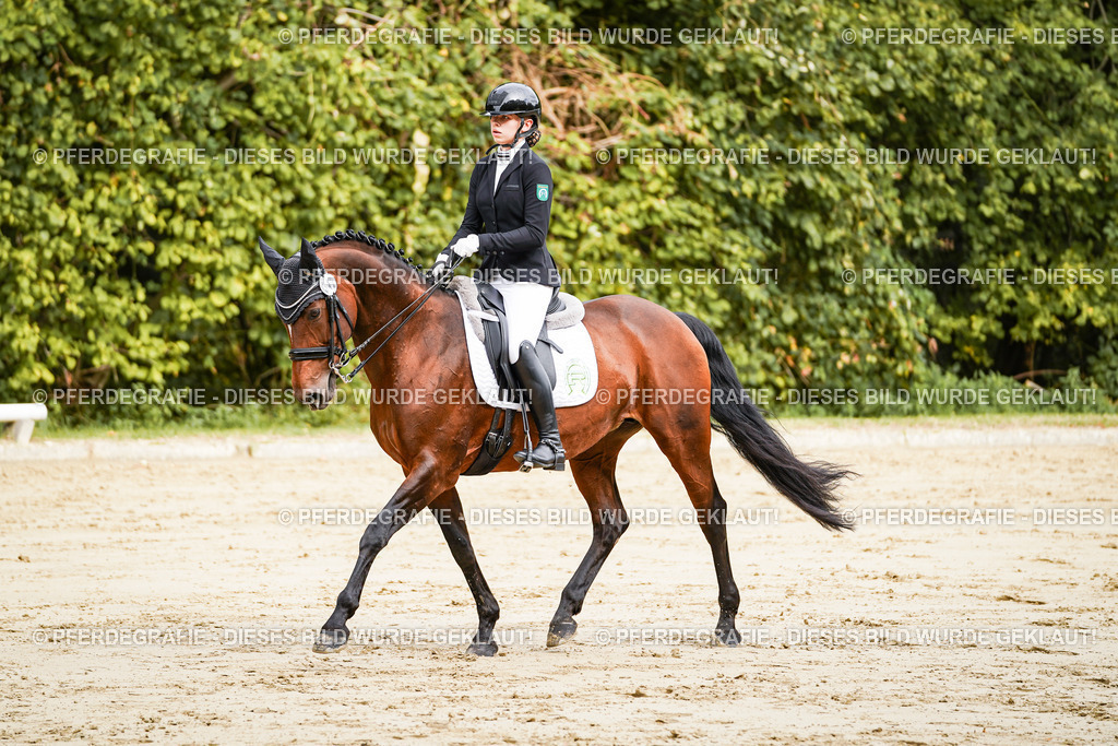 DSC01853 | Pferdegrafie