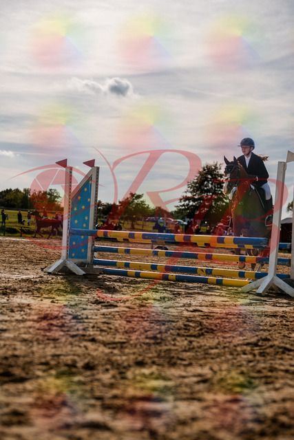 2026_10_03_Siefer-Hof_155745_Z63_10742440 | Professionelle Reitsport-, Turnier- und Eventfotografie von Robert Broda. Galerien mit ausgewählten und bearbeiteten Bildern direkt online ansehen und bestellen.