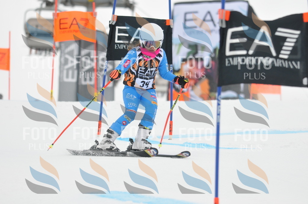 DSC_7581 | holidayphoto