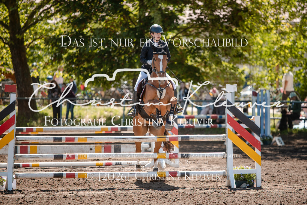 DSC_9071 | Christina-Kleuver