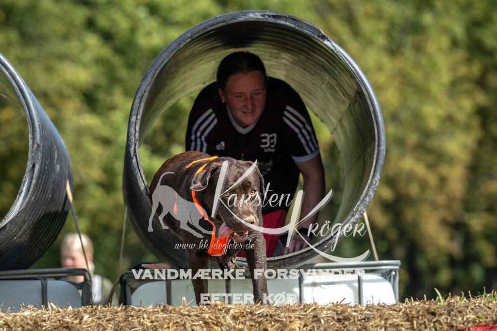 1305_ZZ91967 | kk-dogfotos