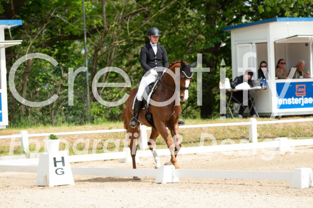 IMG_6457 | Creatify Fotografie