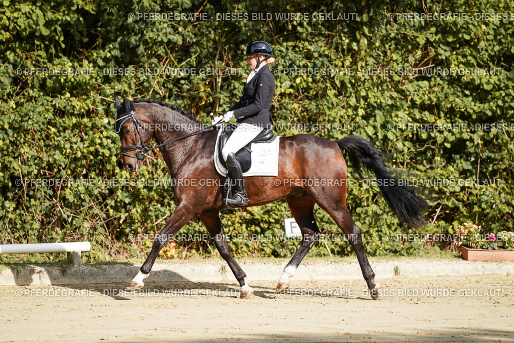 DSC07700 | Pferdegrafie