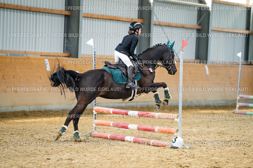 DSC00985 | Pferdegrafie