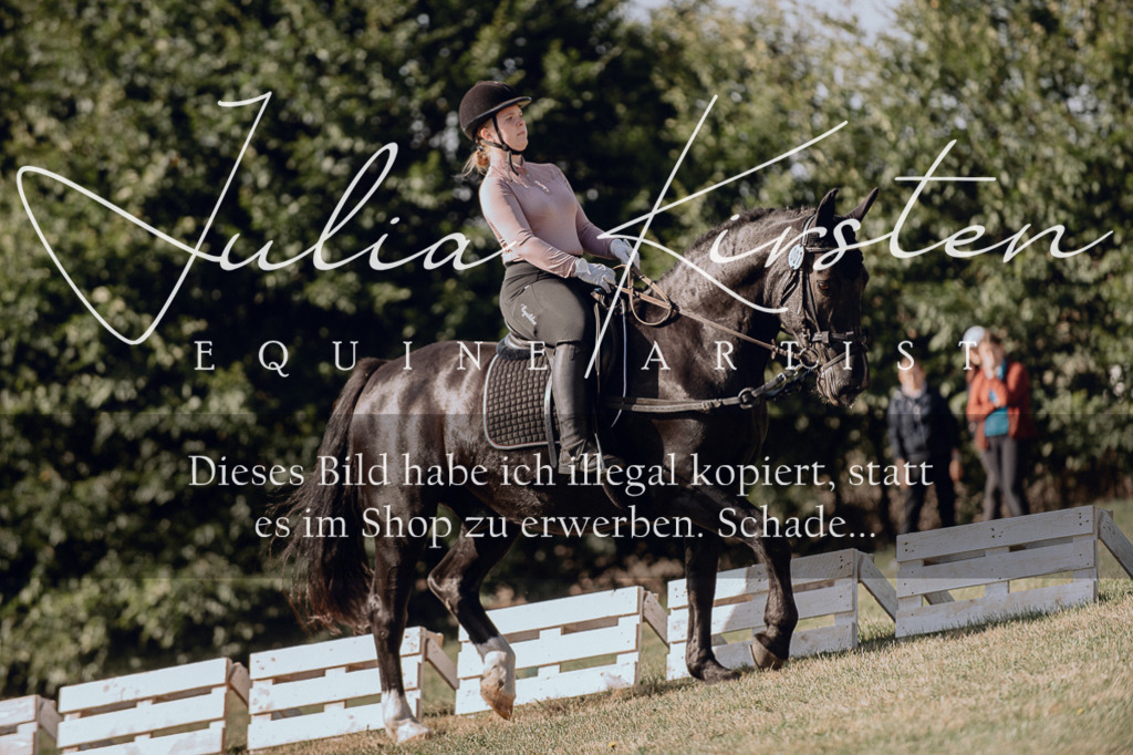 DSC_7090 | Pferde- und Turnierfotografie in Westsachsen. Pferdeportraits, Auftragszeichnungen und intuitive Kunst.