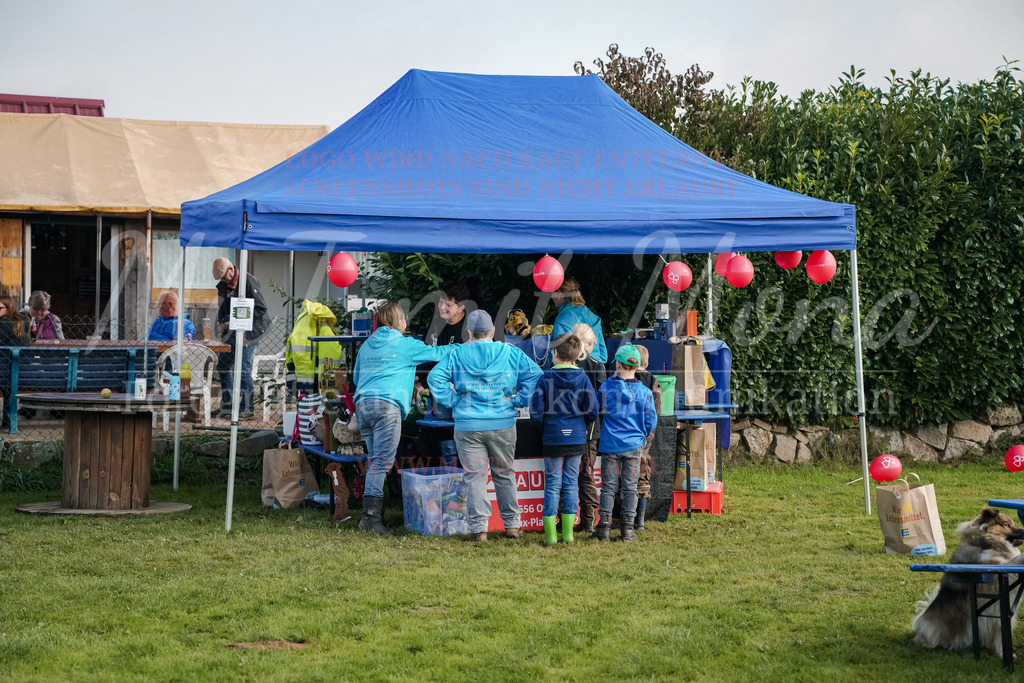 20250928_Hunderennen-331 | MuT (Mensch und Tier) mit Mona - Fotografie und Tierkommunikation - Realisiert mit Pictrs.com