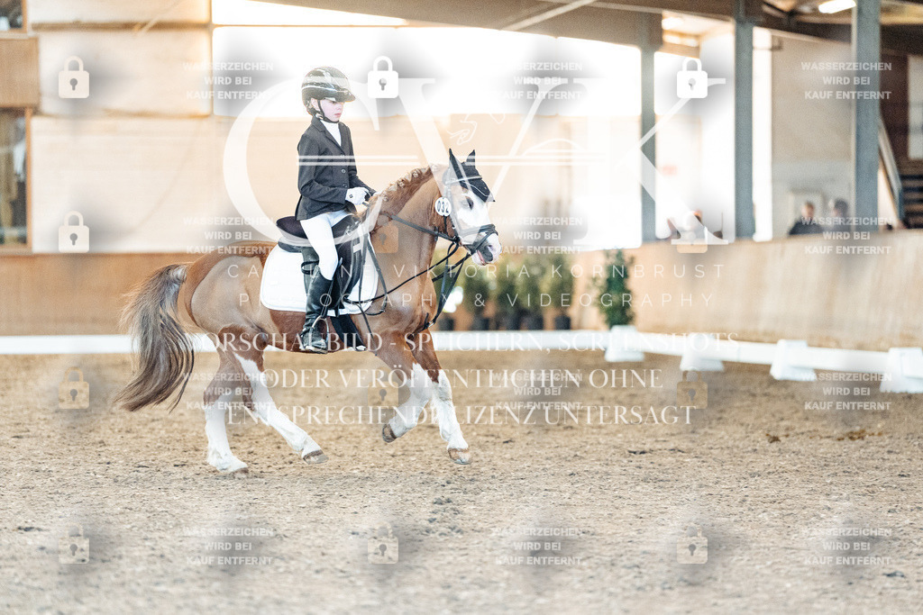 CK907286 | Turnierfotografie Pferdefotografie Trier Rheinland-Pfalz Pferdesport Reitsport Tierfotografie Sportfotografie Pferdevideo Pferdevideografie Equestrianvideography equestrianphotography  - Realisiert mit Pictrs.com