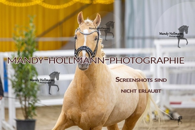 19 (11 von 45) | mandyhollmannphotographie
