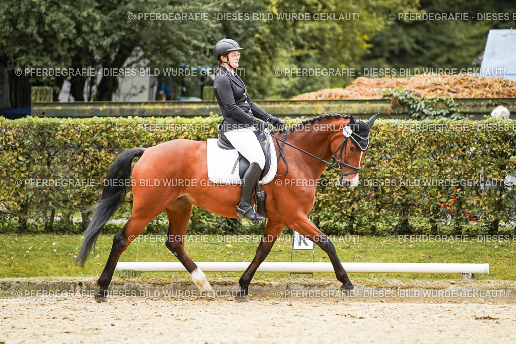 DSC07171 | Pferdegrafie