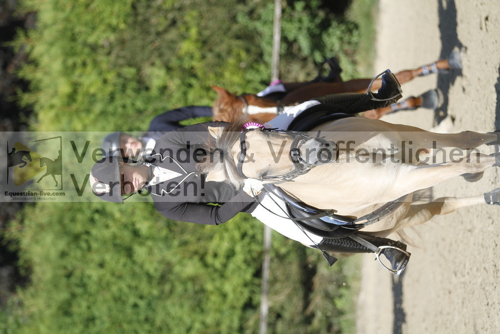 _MG_4393 | equestrian-live-com