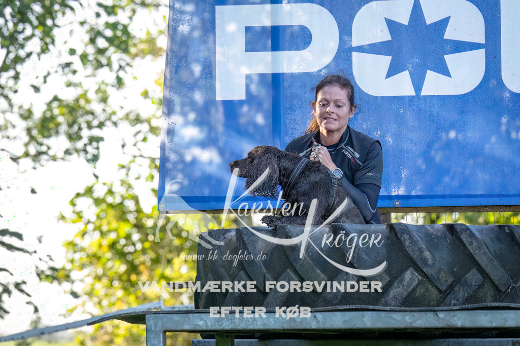 1027- | kk-dogfotos
