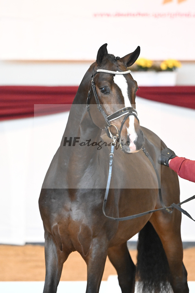 Kat-Nr. 31 v. Ferrantino_Lehner_66221808 | hf-fotografie - Realisiert mit Pictrs.com