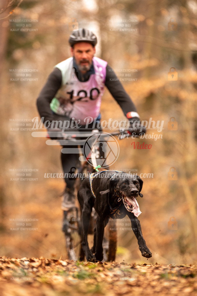 AKM_ST_2023_SAM_Bike-142 | PayLife