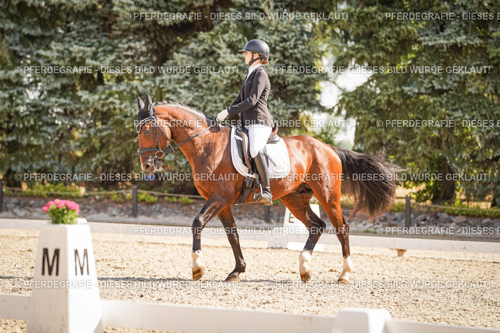 DSC00444 | Pferdegrafie