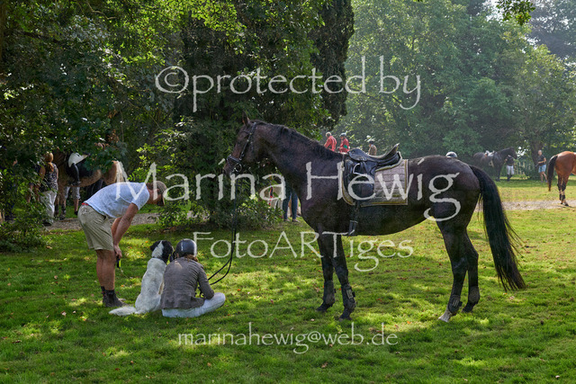 09-23 JAgd PerdölDSC02122_Marina Hewig | Fotografie, FotoArt, PferdesportArt, Pferdesportfotografie, Landschaftsfotografie, Reisefotografie, Reise, Pferde - Realisiert mit Pictrs.com