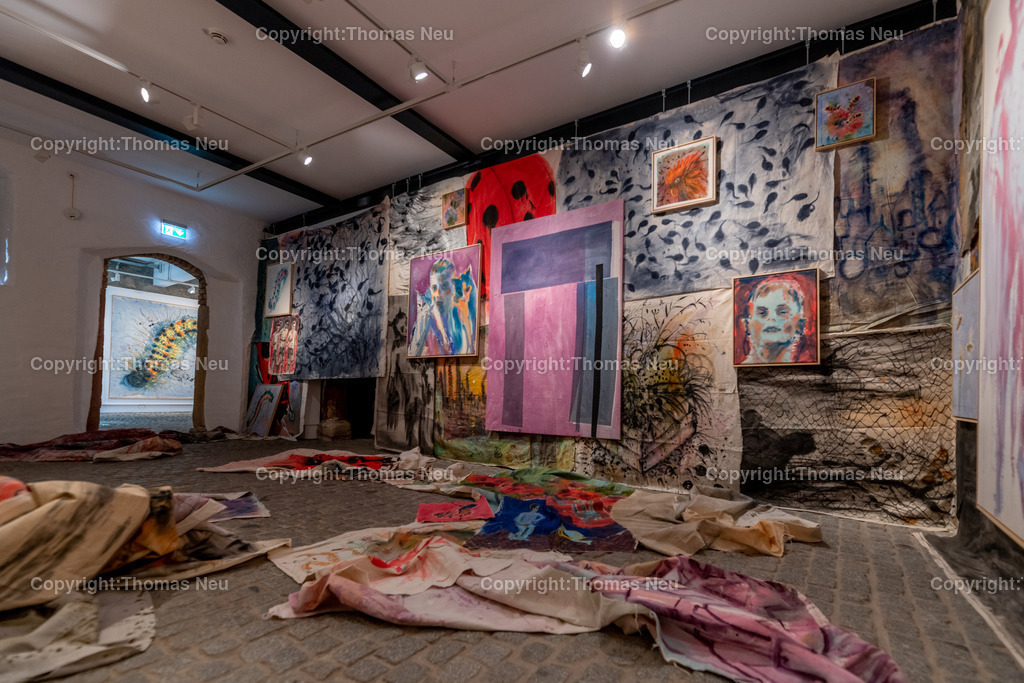 DSC_6180 | Bensheim, Museum der Stadt, Ausstellung „The last Party of Diversity“ im Museum Bensheim zeigt Werke des Künstlers Andrej Dúbravský, Bild: Thomas Neu