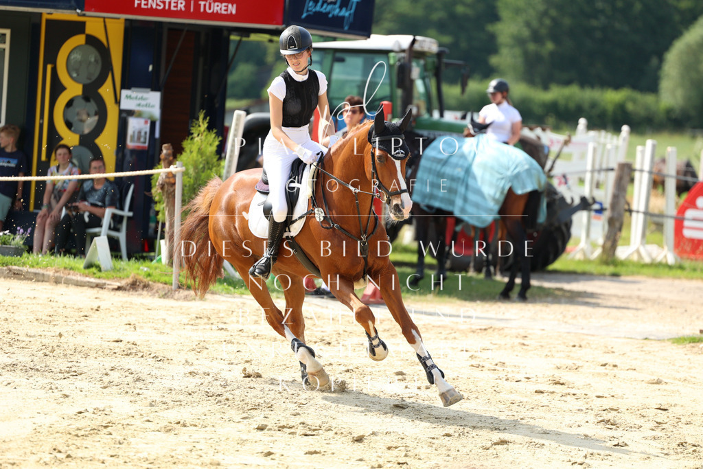 IMGM6588 | pl-fotografie