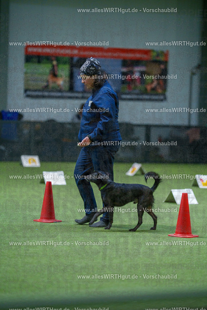 7R501216 | Professionelle Tierfotografie in Mönchengladbach von Daniel Wirth (allesWIRTHgut). Liebevolle & natürliche Bilder von Hunden & Katzen für unvergessliche Erinnerungen.