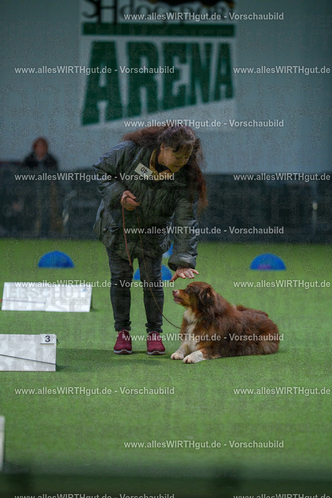 7R501185 | Professionelle Tierfotografie in Mönchengladbach von Daniel Wirth (allesWIRTHgut). Liebevolle & natürliche Bilder von Hunden & Katzen für unvergessliche Erinnerungen.