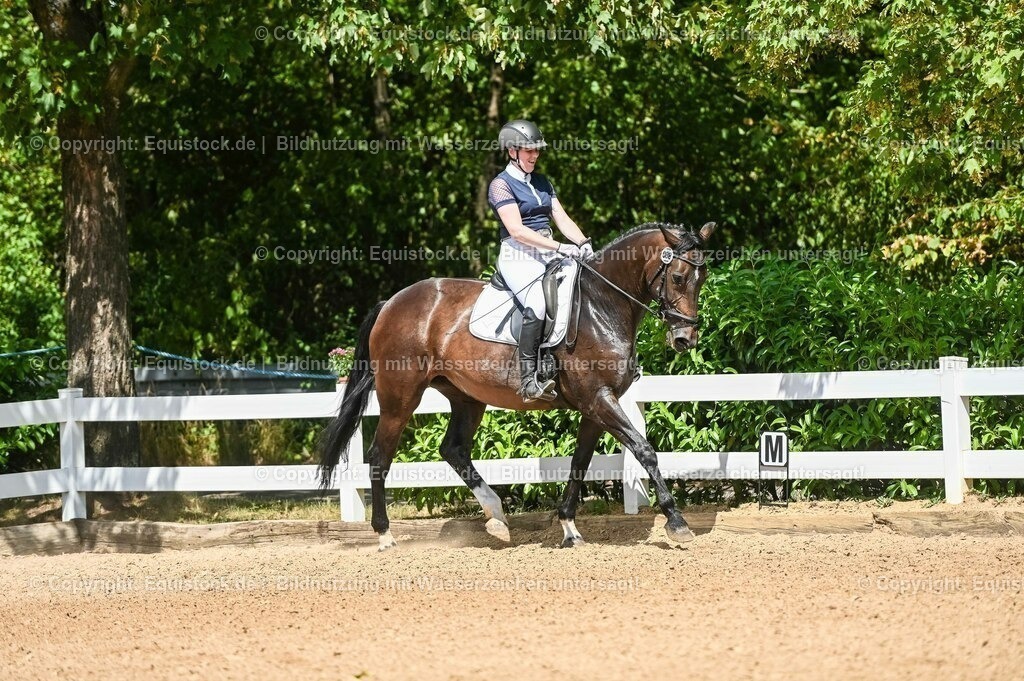 20230715_02_Dressurreiterprüfung Kl.L_0113 | equistock