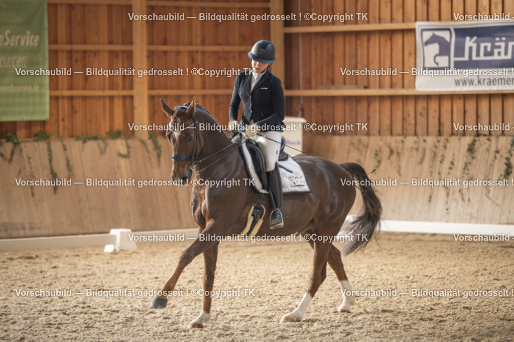 _D5A6290 | Emotionale Pferde- & People-Fotografie rund um Heidelberg, Leimen & Umgebung. Natürliche Fotos von Pferd, Mensch & Familie. Jetzt Termin sichern!