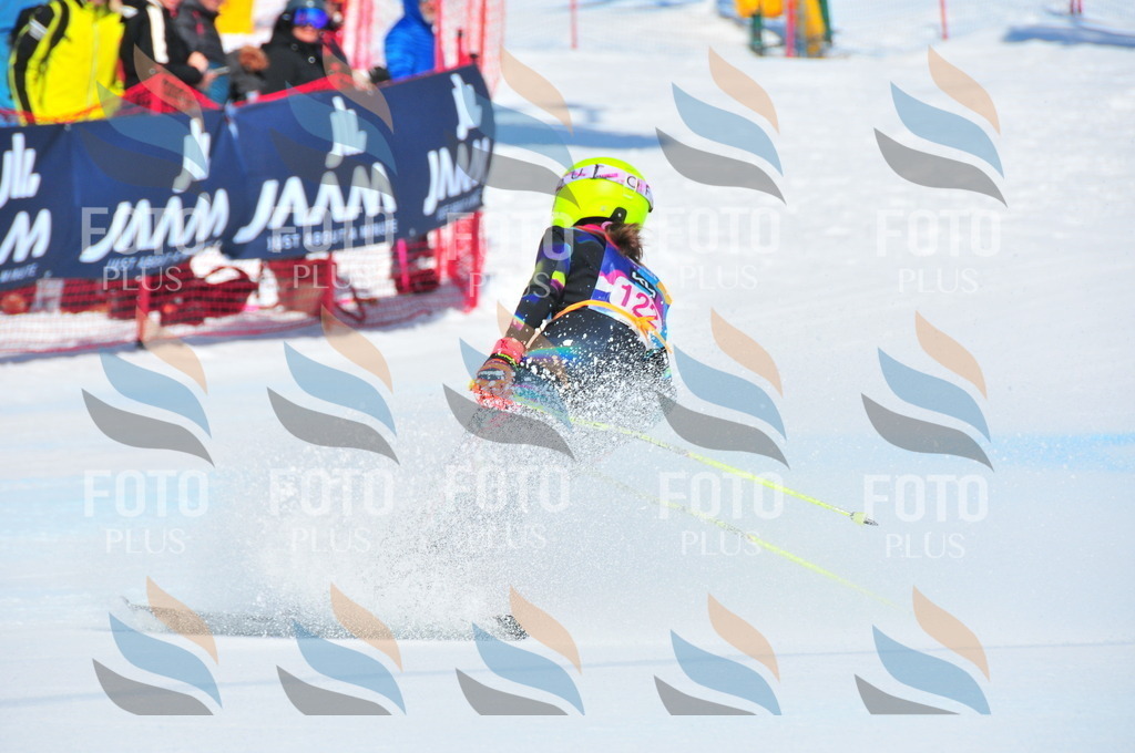 DSC_4788 | holidayphoto