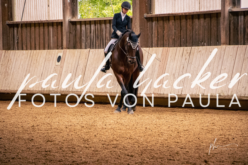 IMG_0784 | Erleben Sie dynamische Sport- und emotionale Tierfotografie in Süddeutschland mit Fotos von Paula. Spezialisiert auf Pferde- und Hundefotografie sowie Sportevents. Kontaktieren Sie mich für einzigartige und ausdrucksstarke Bilder Ihrer besonderen Momente. - Realisiert mit Pictrs.com