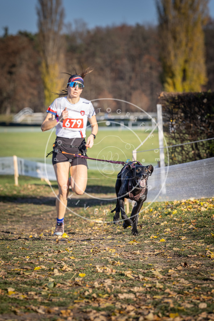 CaniXpix_DV3A1052 | Hundefotografie, Tierfotograf, Pfotenfotografie, Fotoshooting Hund, Hunde Portrait, Hundesport, Hundeportraits, Heideshooting, Hunde, Sportfotograf, Hundefotograf, Turnierhundsport, THS,  - Realisiert mit Pictrs.com