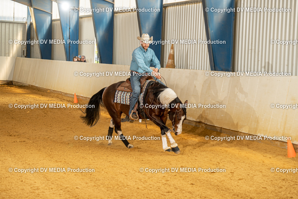 MIT01093 | dv-media-shop - Realisiert mit Pictrs.com