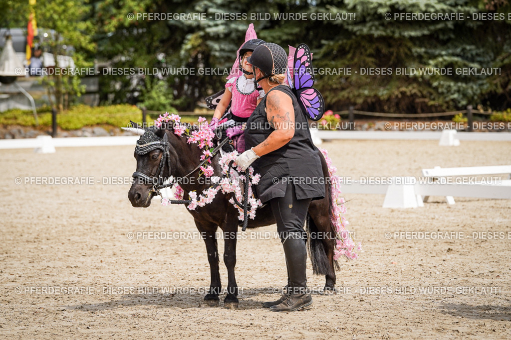 DSC03174 | Pferdegrafie