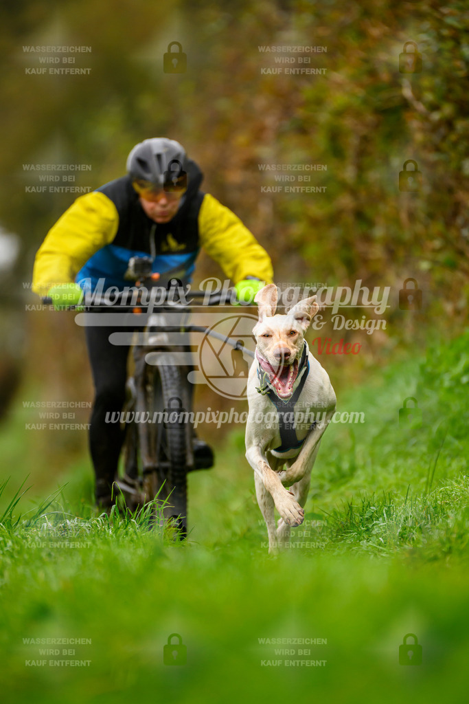 MompixPhotography_20TSB_E8_Bike-118 | PayLife