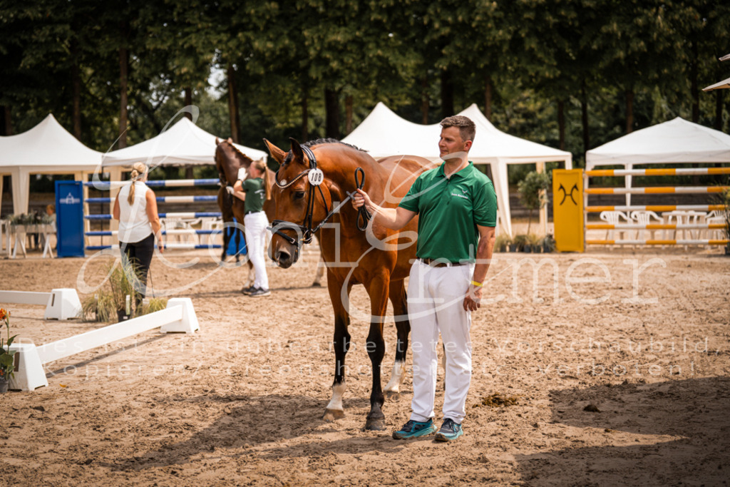 3.Fr00138 | Leoni Ertmer Photography - Realisiert mit Pictrs.com