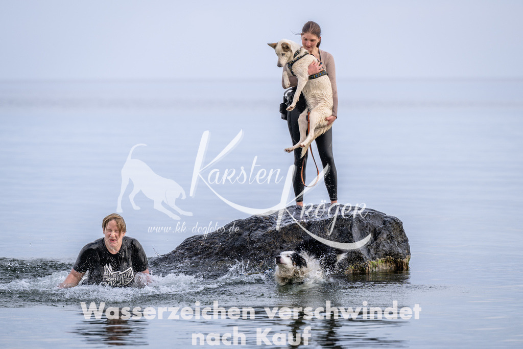 1210_ZZ90058 | kk-dogfotos
