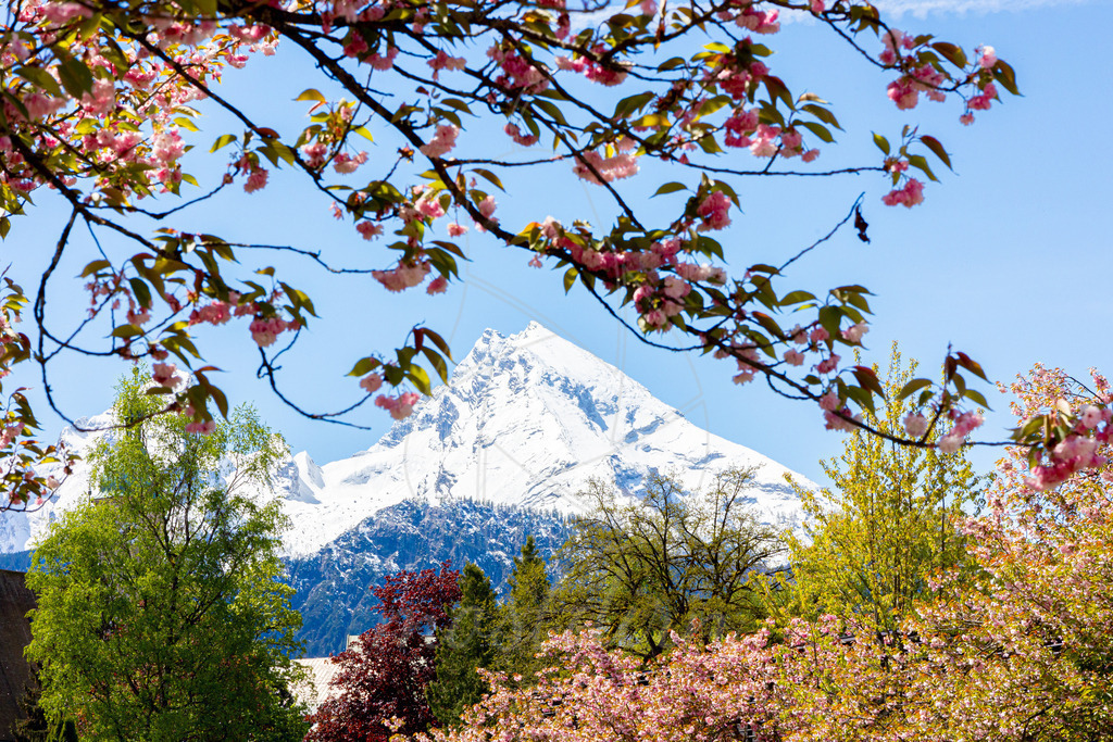 Berchtesgadener_Land_Bayern_Deutschland_Mostdirn_Irmgard_Wieser-9853 | Ihre Fotografin im Lungau, ihre Fotografin im Mostviertel, Wandbilder Onlineshop, Imagefotos für Ihr Unternehmen,  - Realisiert mit Pictrs.com
