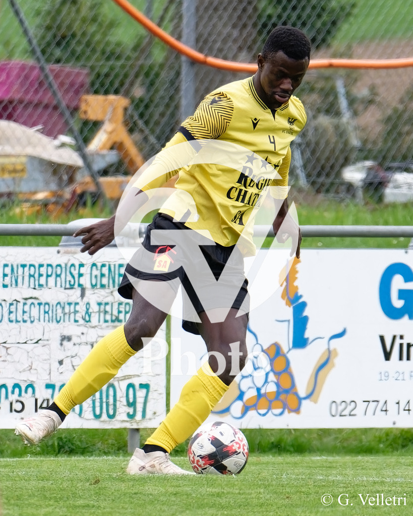 DSC_8528 | Velletri Photo