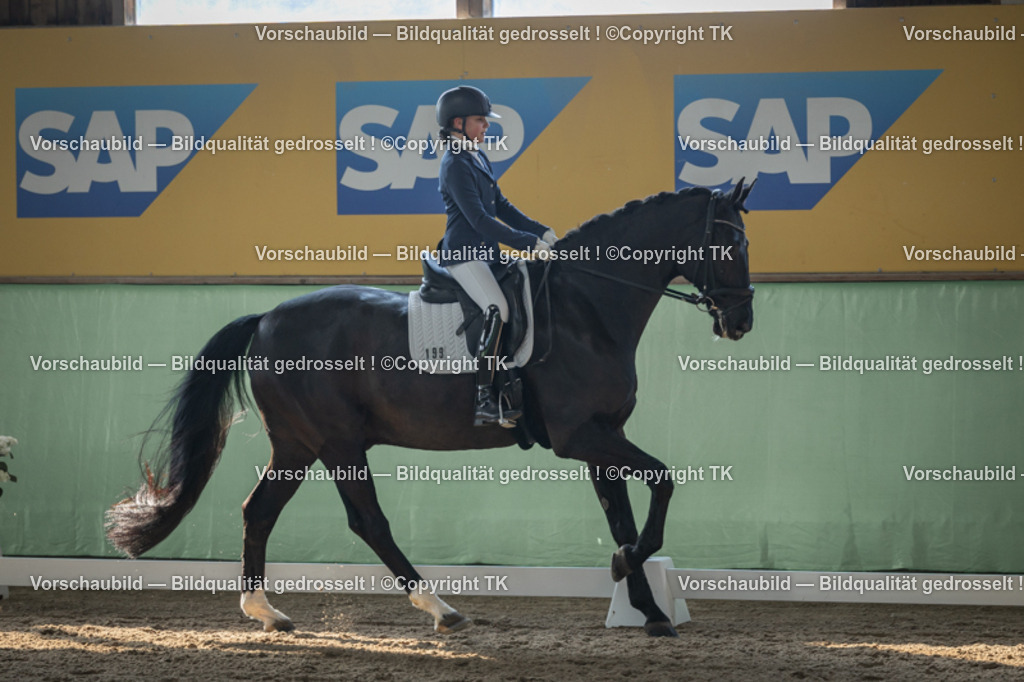 _D5A8256 | Emotionale Pferde- & People-Fotografie rund um Heidelberg, Leimen & Umgebung. Natürliche Fotos von Pferd, Mensch & Familie. Jetzt Termin sichern!