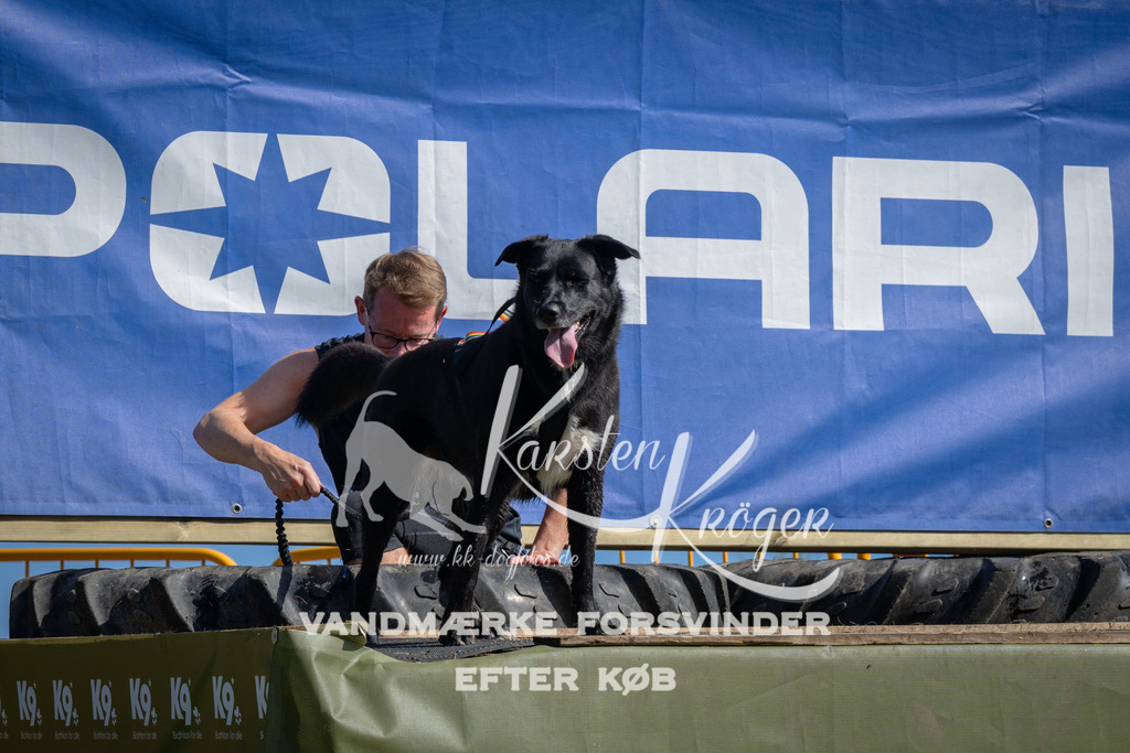 1059_ZZ90053 | kk-dogfotos