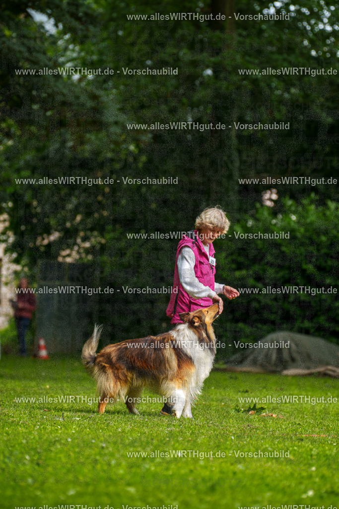 @allesWIRTHgut_Tierfotografie - www.allesWIRTHgut.de - 094932-7R507660 | Professionelle Tierfotografie in Mönchengladbach von Daniel Wirth (allesWIRTHgut). Liebevolle & natürliche Bilder von Hunden & Katzen für unvergessliche Erinnerungen.