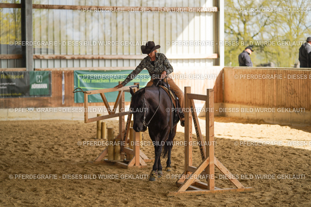 DSC01886 | Pferdegrafie