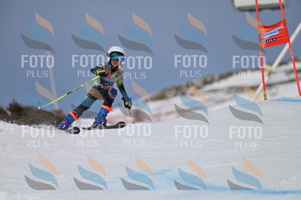 BGV_5932 | holidayphoto