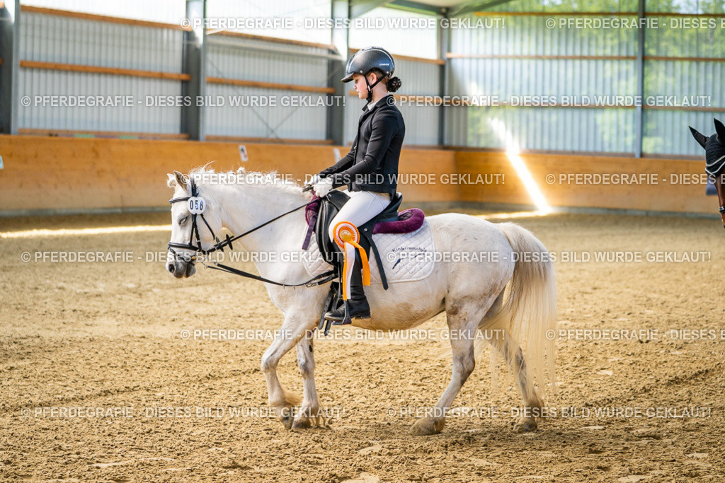 DSC02786 | Pferdegrafie