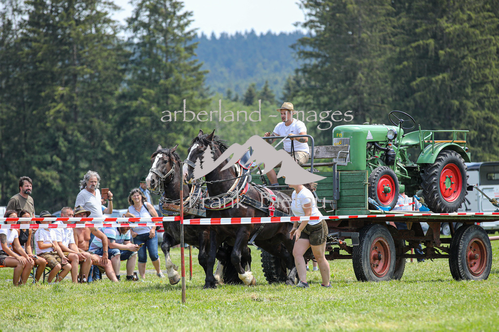 OE7A4519 | Beim Zugpferdetreffen in Poschedtsried galt es verschiedene Wettbewerbe zu meistern, Einzelrennen im Reiten, Traktorpulling und auch ein Hunderennen wurde veranstaltet