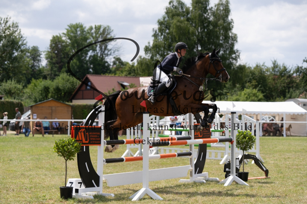 A7V02012 | Pferdefotograf