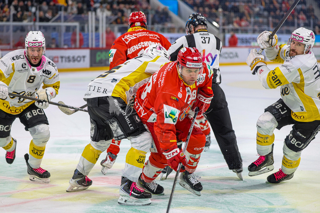 EHCB vs HCA 20260127_wb-9721 | Sportbilder, Sportfotograf, Hochzeits- und Eventfotografin, Flugshows, Portraits und Tiershooting, Aviation, Downhill, Nationalleague, Swissleague, International