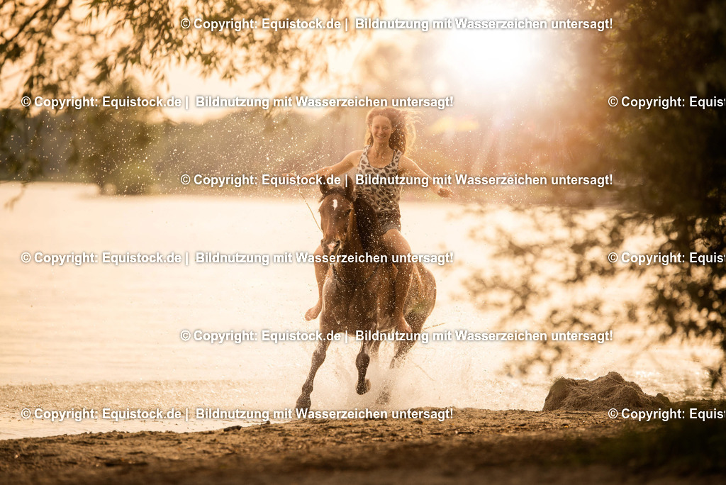 TS_20170616_Pferd_im_Wasser_0002 1 | Foto: Thomas Hartig