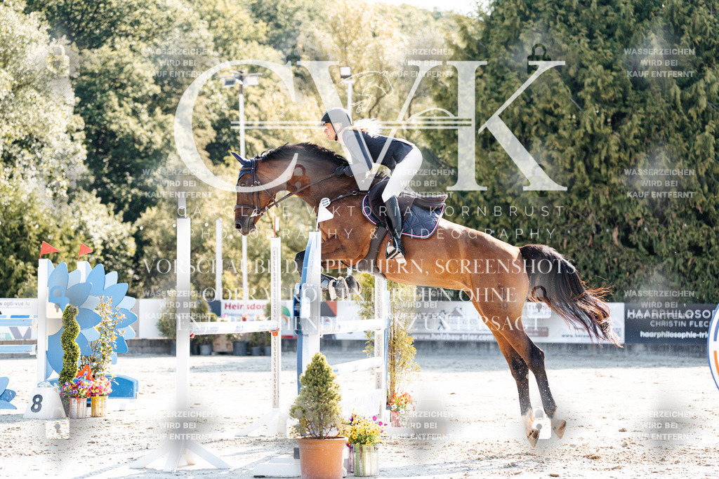 CK902034 | Turnierfotografie Pferdefotografie Trier Rheinland-Pfalz Pferdesport Reitsport Tierfotografie Sportfotografie Pferdevideo Pferdevideografie Equestrianvideography equestrianphotography  - Realisiert mit Pictrs.com