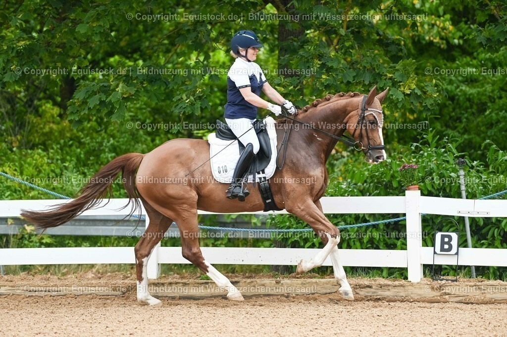 20230715_07_Dressurpferdeprfg. Kl.L_0035 | equistock