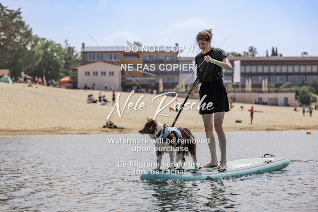 BUHU_SUP_605 | nelerasche